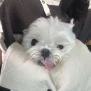 폭포가든 이미지