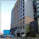 [타마라제주 호텔] 제주월드컵경기장 근처 가성비 숙소 (패밀리 트윈 객실)