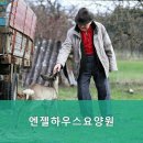 파주엔젤하우스 이미지