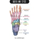 하하정형외과의원 | 중족골 3개 골절 수술 그리고 소독&amp;물리치료 찐 후기..☆
