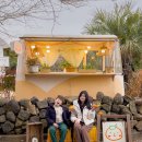 🌿 [제주 감따남 카페 방문기] 한라봉 수확 체험까지 가능한 감귤밭 감성카페 🍊｜디저트·포토존·아이...