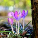 청솔노인전문요양원 이미지