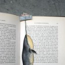 블라블라 이미지