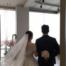 씨즈더데이 이미지