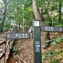 백석생활체육공원 축구장 이미지