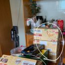 Big Dog(빅독) 이미지