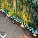 교리 | [황리단길 고기] 경주 가성비넘치는 K-BBQ 교리숯불갈비 후기