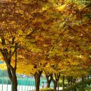 숙지공원 이미지