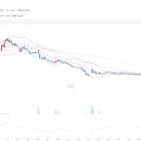 엑시온(Exion) 이미지