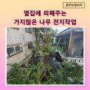 모과나무 한그루 가지치기 작업