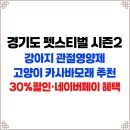 대진소프트 | 경기도 펫스티벌 시즌2 강아지 관절영양제·고양이 카사바모래 추천 + 네이버페이 혜택 총정리!