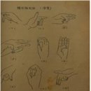 수화가