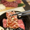 세이로무시 이미지