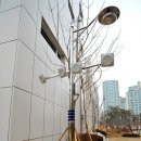 참샘초등학교 이미지