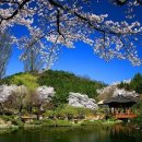 신평동1033 이미지