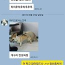 개구리PC방 이미지