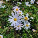 연한농장 이미지