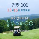 블루스타 이미지