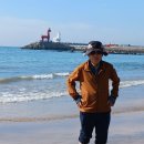 🛫JeJu (제주도)濟州🏖 이미지