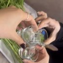 청도산업 | 청도 한재 미나리삼겹살과 알밥이 맛있는 ‘한재 참미나리 식육식당’ 후기 (봄제철맛집)