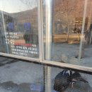 강릉 쌍둥이 동물농장 네이버블로그