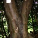 외연도3 이미지