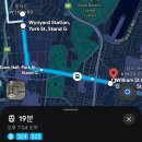 시드니 렌트카 후기 노버드 No birds 2박3일 대여 비용 총정리