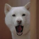 무한장소