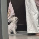 아가씨PC | 평범한 여름 일상 같은데..