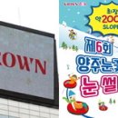 장흥 자연휴양림 인사이트