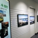 늘솜