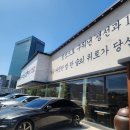 1750 | 백년고등어 1750 후기