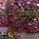 회기_0020 이미지