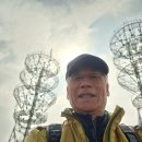 돌담당구장 이미지