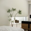 테라키아 이미지