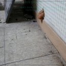 입주청소에서 정말 만족한 경험이야! 강남이사청소 제대로 맡겨봤어요