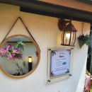 대항마을 | 가덕도 돈까스 맛집1966정원 대항점-아기자기한 정원 속 맛있는 한 끼