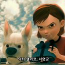 슈퍼독