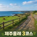 제주 올레길 3코스 A | 제주 올레길 3코스 지도 난이도 소요시간 꿀팁