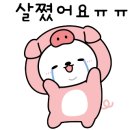 신미가 맛집 이미지