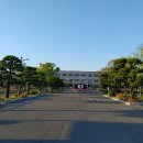 선덕여고앞 이미지