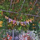 농업기술센터 본관 화장실 이미지