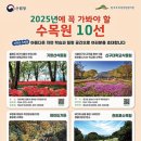 수목원 10선으로 떠나는 자연 여행: 2025년 수목원 인증샷 이벤트