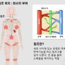 칸느마사지