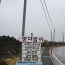 공간7 | 구좌읍 맛집｜입에서 녹는 딱새우카세, 평대앓이에서 찾은 제주의 맛
