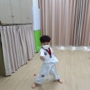 용인대 금메달 태권도장 이미지