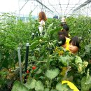 마야어린이집 이미지