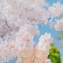 부춘산체육공원 티스토리