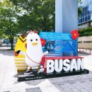 부산 시장 세 곳 비교 후기🎒 국제시장·부평깡통시장·자갈치시장