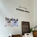 에쇼파모마 이미지